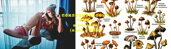 соль ск Михайлов