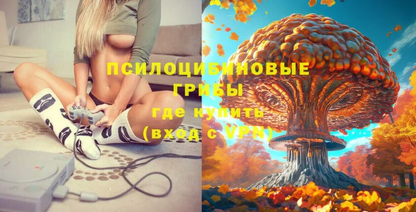 спайс Баксан