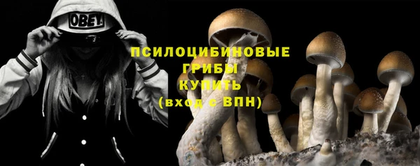 не бодяженный Мегион