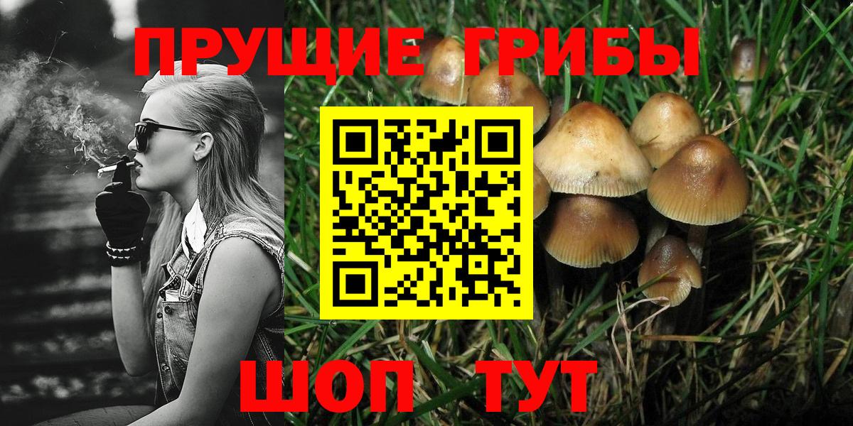 Галлюциногенные грибы MAGIC MUSHROOMS  Вход с VPN  Ржев 