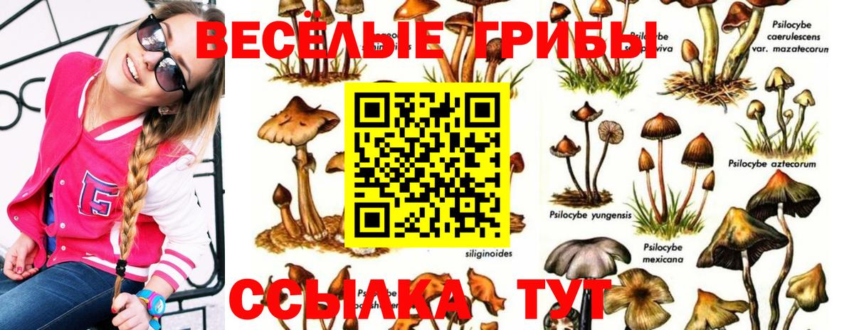 Галлюциногенные грибы прущие грибы Ржев